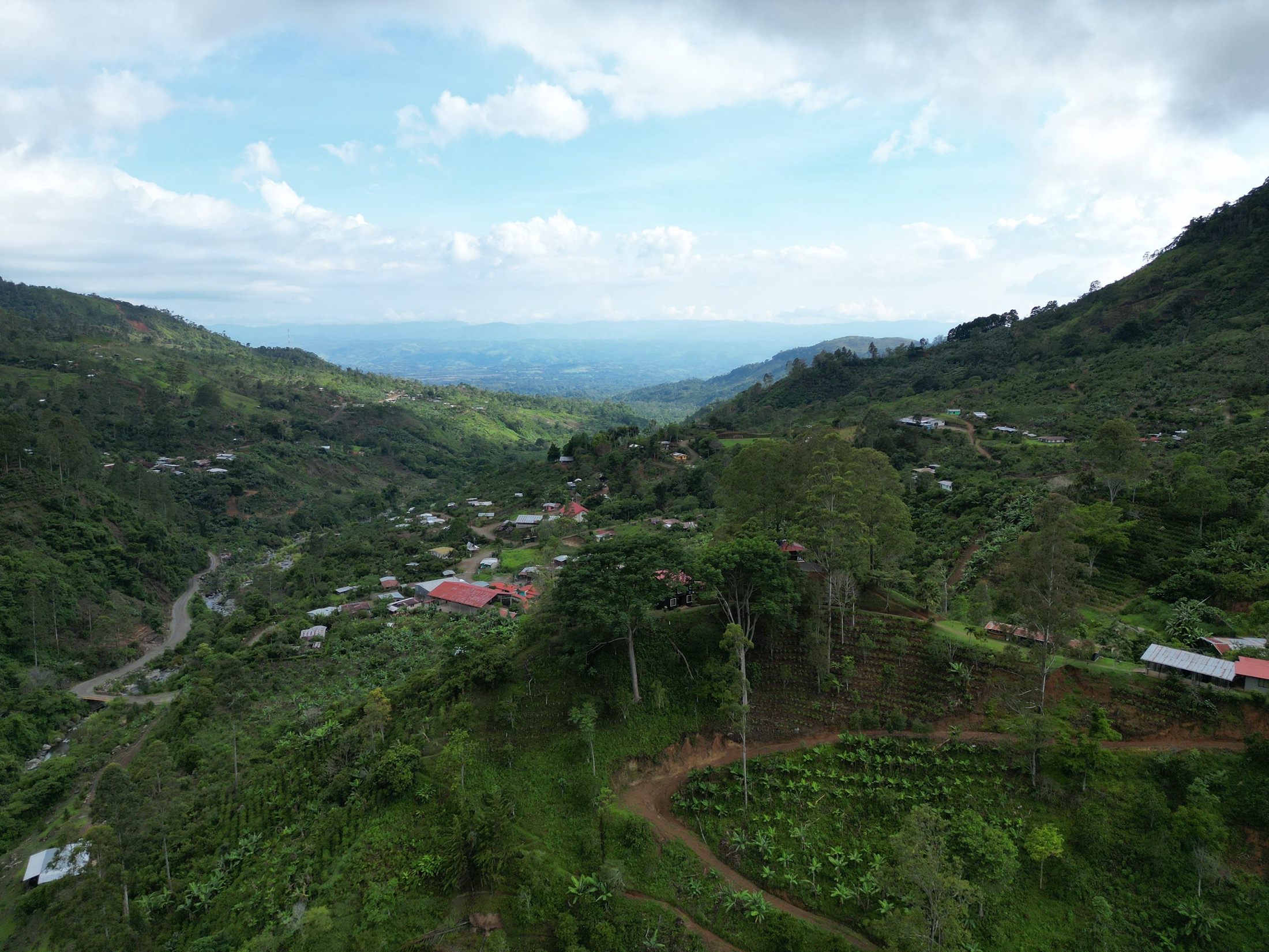 Vista aérea del valle verde